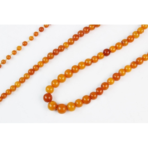 144 - A 'Butterscotch' amber bead necklace, comprising 125 graduating off-round beads, spring ring and sim... 