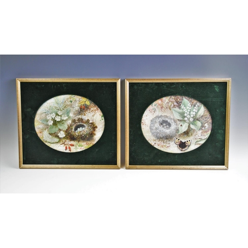 305 - J. Such (Victorian School),
Pair of watercolours on paper, 
Natural still lives of bird nests, 
Each... 