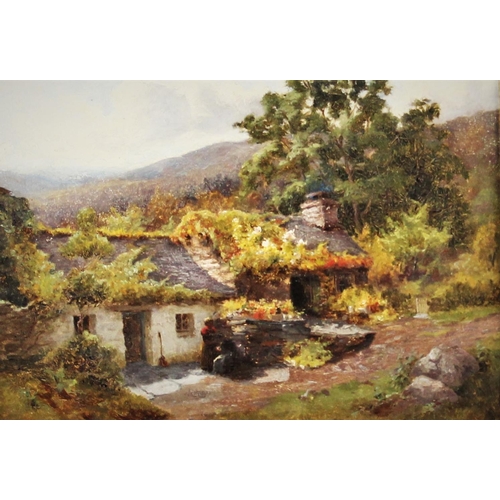 343 - English school (19th century),  
Oil on canvas,  
A cottage scene, Betws-Y-Coed,  
Indistinctly sign... 