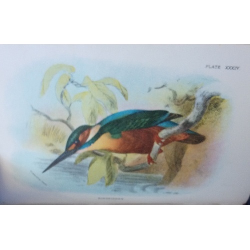 250 - BOWDLER SHARPE (R), LLOYD'S NATURAL HISTORY: A HANDBOOK TO THE BIRDS OF GREAT BRITAIN, 4 vols, 3/4 l... 