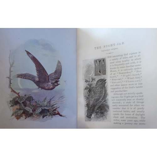 250 - BOWDLER SHARPE (R), LLOYD'S NATURAL HISTORY: A HANDBOOK TO THE BIRDS OF GREAT BRITAIN, 4 vols, 3/4 l... 