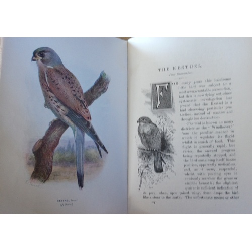 250 - BOWDLER SHARPE (R), LLOYD'S NATURAL HISTORY: A HANDBOOK TO THE BIRDS OF GREAT BRITAIN, 4 vols, 3/4 l... 