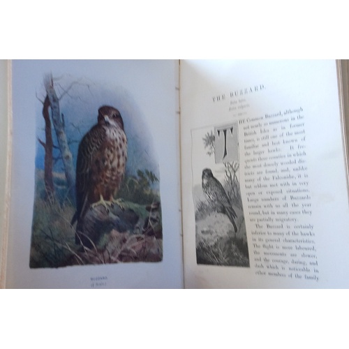 250 - BOWDLER SHARPE (R), LLOYD'S NATURAL HISTORY: A HANDBOOK TO THE BIRDS OF GREAT BRITAIN, 4 vols, 3/4 l... 