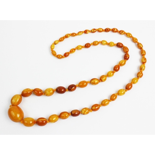 174 - A butterscotch amber necklace, designed as a single strand of fifty six graduated beads, gross weigh... 