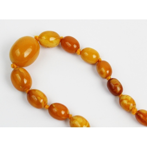 174 - A butterscotch amber necklace, designed as a single strand of fifty six graduated beads, gross weigh... 