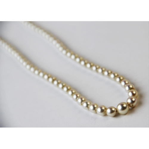 186 - A single strand graduated cultured pearl necklace, with attached white metal clasp stamped '9ct', 43... 