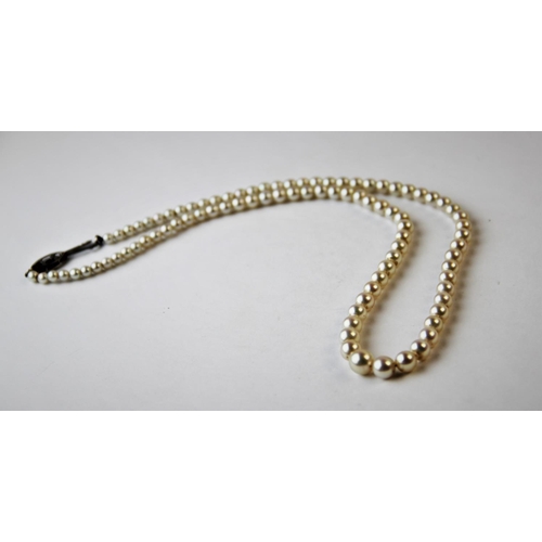 186 - A single strand graduated cultured pearl necklace, with attached white metal clasp stamped '9ct', 43... 