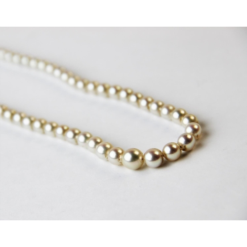 186 - A single strand graduated cultured pearl necklace, with attached white metal clasp stamped '9ct', 43... 