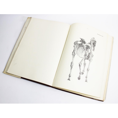 294 - STUBBS (G), THE ANATOMY OF A HORSE, a facsimile edition of the 1766 original, containing twenty four... 