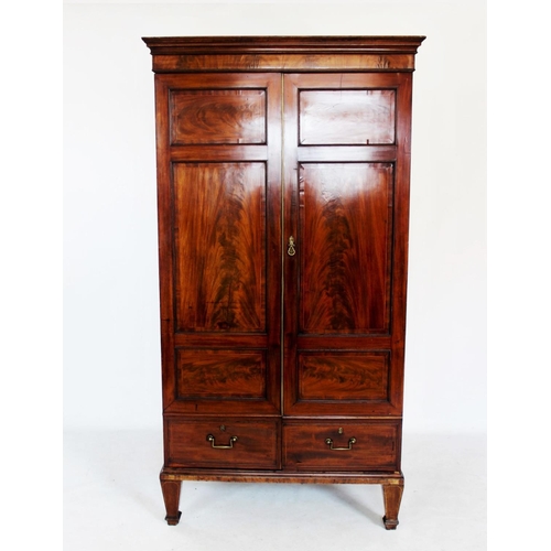 733 - A 19th century mahogany two door wardrobe, with a moulded cornice above a plain frieze and a pair of... 