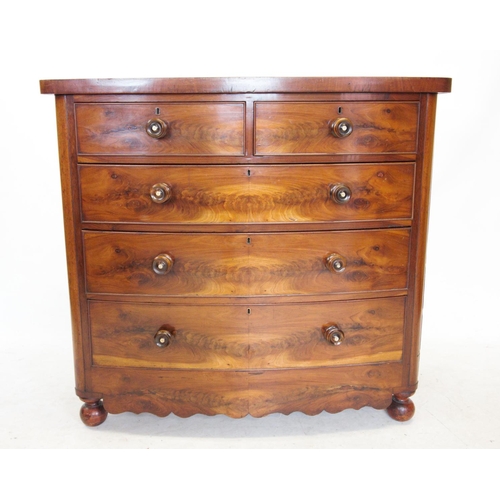 736 - A Victorian mahogany bow front chest of drawers, with two short and three long graduated and cock be... 