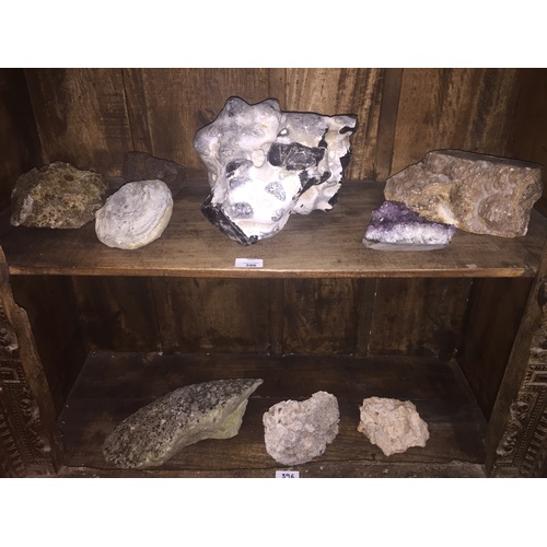 396 - An extensive collection of fossils, minerals, geodes and rock specimens, including, ammonites, rock ... 