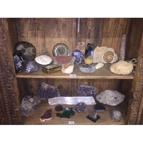 396 - An extensive collection of fossils, minerals, geodes and rock specimens, including, ammonites, rock ... 