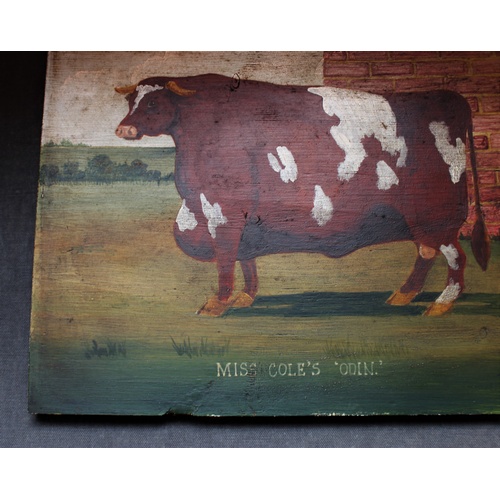 344 - English School (20th century), two oils on board, 'A Sussex Steer, First Prize Winner, Smithfield Cl... 