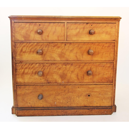 860 - A Victorian satin birch chest of drawers, the rectangular moulded top with rounded front corners, ab... 