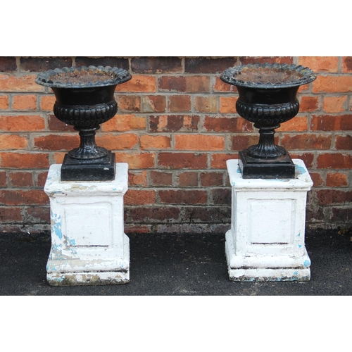914 - A pair of painted Victorian cast iron garden urns, of lobed bowl form with a cast scalloped rim, rai... 