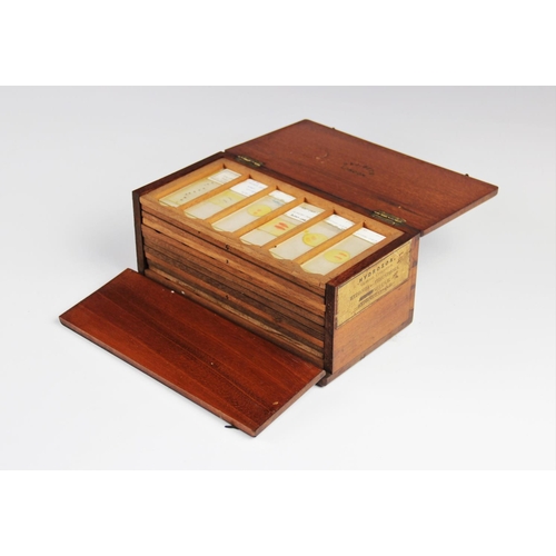 306 - A collection of sixty six microscope slides, to include examples hand labelled 'Tongue', 'Epiglottis... 