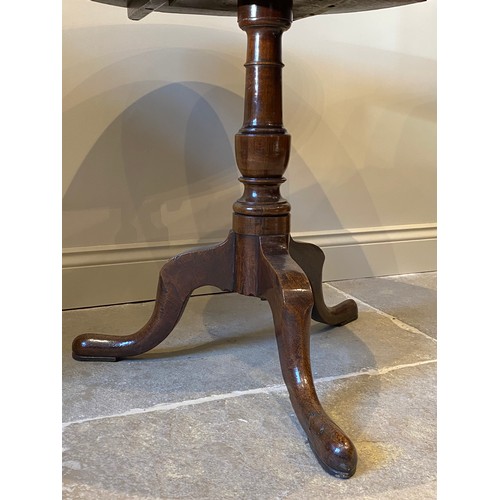 559 - A George III oak tripod table, the circular three plank top on a ring turned baluster column upon th... 