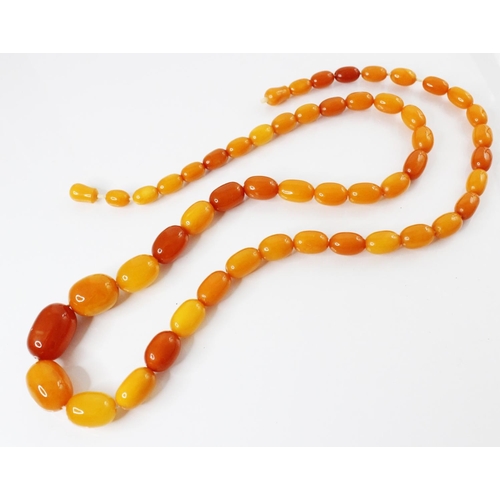 99 - A butterscotch amber bead necklace, comprising fifty-one graduated plain polished oval beads measuri... 