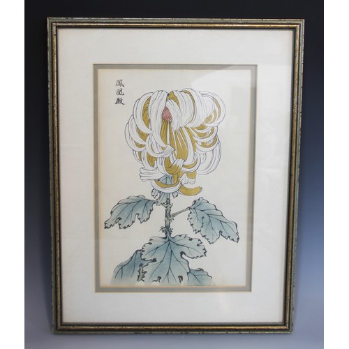 264 - A set of four Japanese woodblock prints on paper, 20th century, each depicting chrysanthemum flowers... 