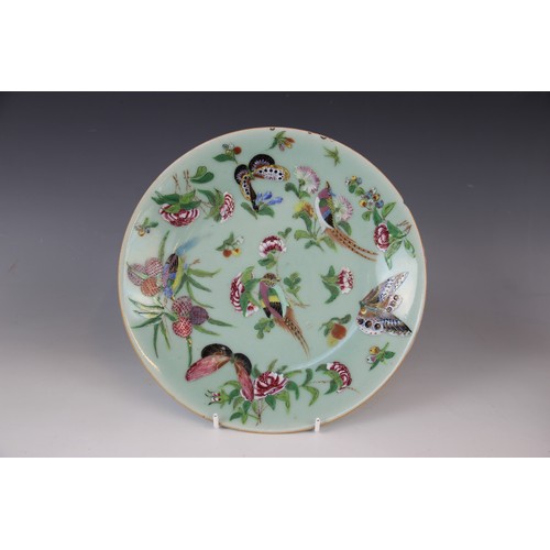 281 - A pair of Chinese porcelain celadon plates, 19th century, each decorated with flora and fauna, 26cm ... 