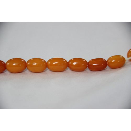 99 - A butterscotch amber bead necklace, comprising fifty-one graduated plain polished oval beads measuri... 