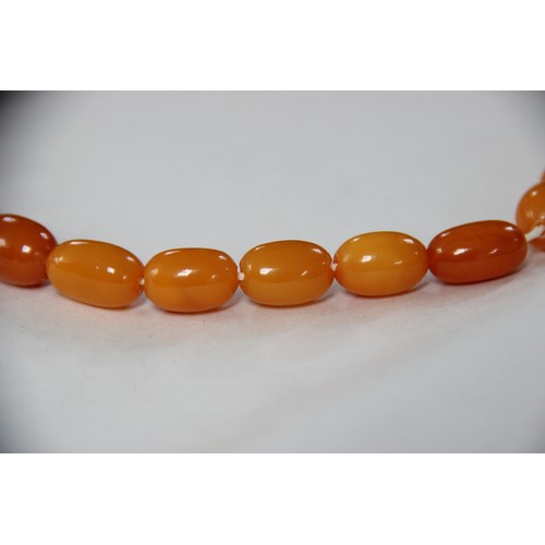 99 - A butterscotch amber bead necklace, comprising fifty-one graduated plain polished oval beads measuri... 