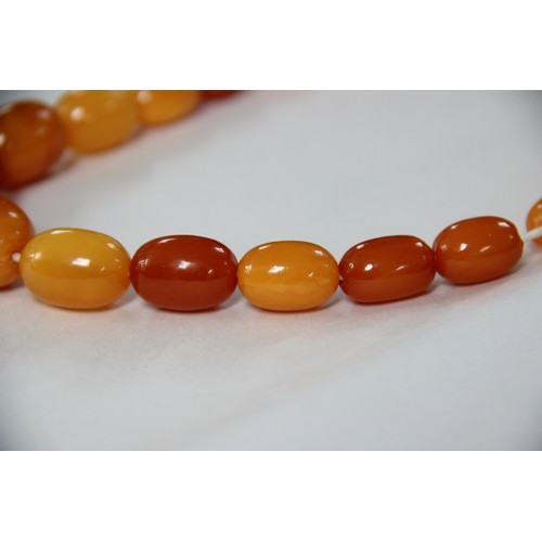 99 - A butterscotch amber bead necklace, comprising fifty-one graduated plain polished oval beads measuri... 