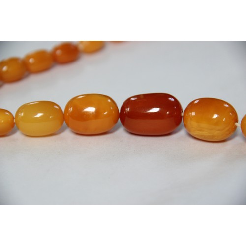 99 - A butterscotch amber bead necklace, comprising fifty-one graduated plain polished oval beads measuri... 