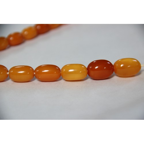 99 - A butterscotch amber bead necklace, comprising fifty-one graduated plain polished oval beads measuri... 