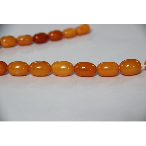 99 - A butterscotch amber bead necklace, comprising fifty-one graduated plain polished oval beads measuri... 