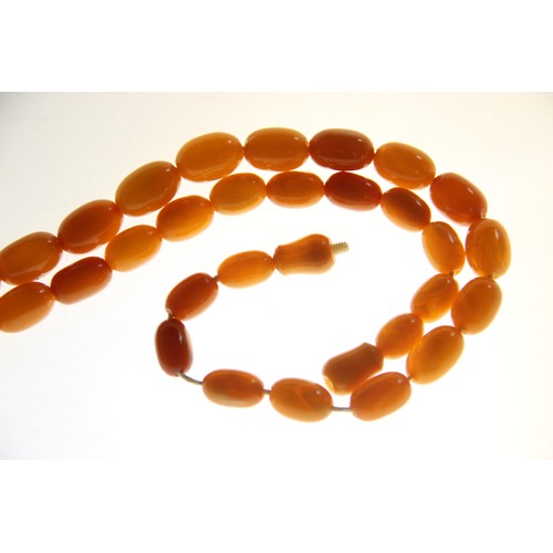 99 - A butterscotch amber bead necklace, comprising fifty-one graduated plain polished oval beads measuri... 