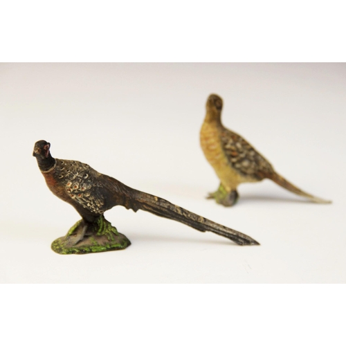 101 - Two Austrian cold painted bronze figures, 19th century, one modelled as a cock pheasant, the other a... 