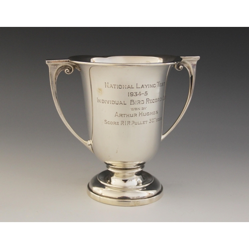 1 - A George V silver twin-handled trophy cup, William Neale & Son Ltd, Birmingham 1932, of urn form on ... 