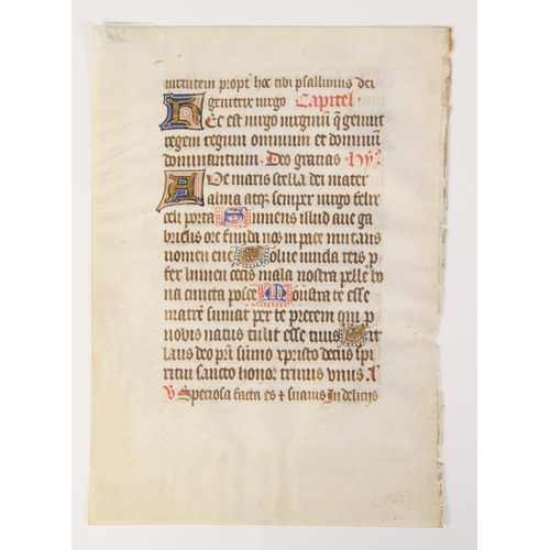 196 - ILLUMINATED PAGES: A double sided illuminated vellum page, possibly 14th century, 16.5cm high, frame... 