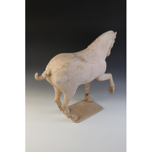 340 - A large Chinese pottery model of a horse, possibly Tang dynasty, modelled on four legs, with one rai... 