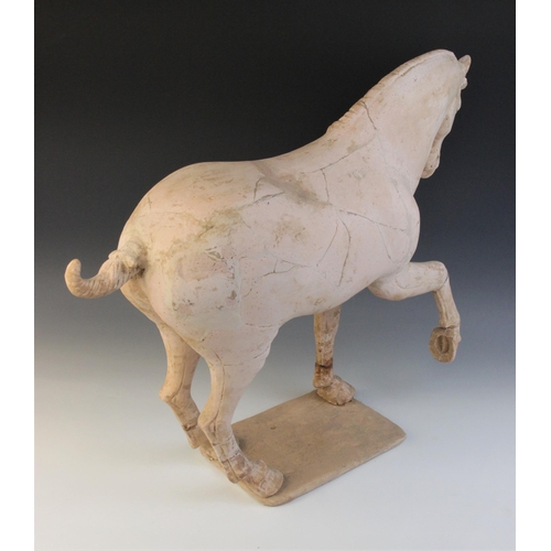 340 - A large Chinese pottery model of a horse, possibly Tang dynasty, modelled on four legs, with one rai... 