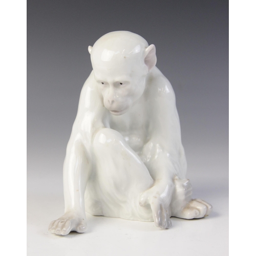 372 - A porcelain figure of a monkey observing its hand, probably by Heubach Gebrüder, white glazed throug... 