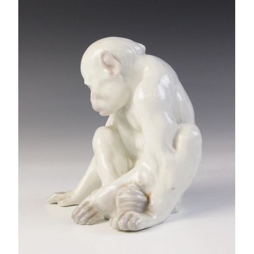 372 - A porcelain figure of a monkey observing its hand, probably by Heubach Gebrüder, white glazed throug... 