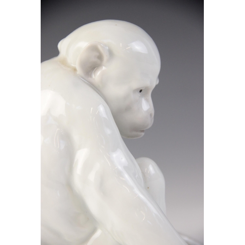 372 - A porcelain figure of a monkey observing its hand, probably by Heubach Gebrüder, white glazed throug... 