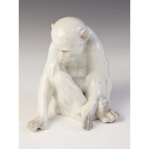 372 - A porcelain figure of a monkey observing its hand, probably by Heubach Gebrüder, white glazed throug... 