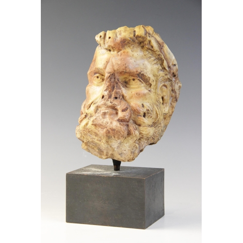 135 - A Giallo Antico head of a bearded male with thickly curled hair, 16cm high (at fault) 

Provenance: ... 