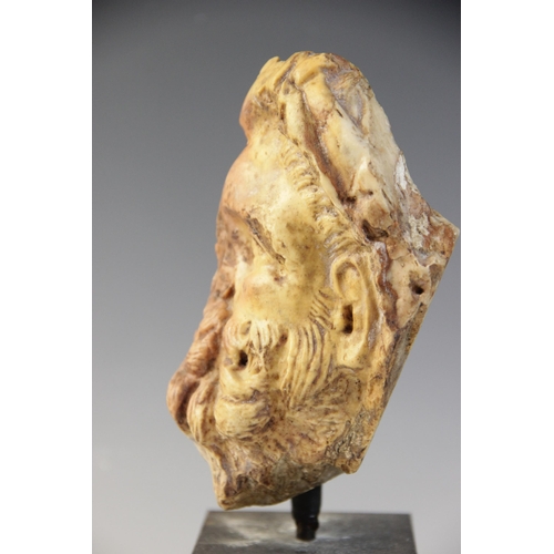 135 - A Giallo Antico head of a bearded male with thickly curled hair, 16cm high (at fault) 

Provenance: ... 