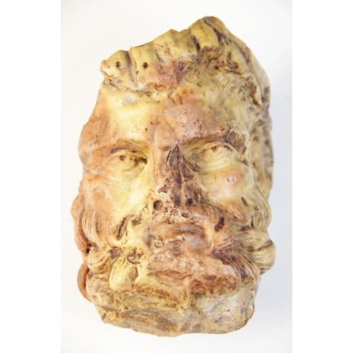 135 - A Giallo Antico head of a bearded male with thickly curled hair, 16cm high (at fault) 

Provenance: ... 