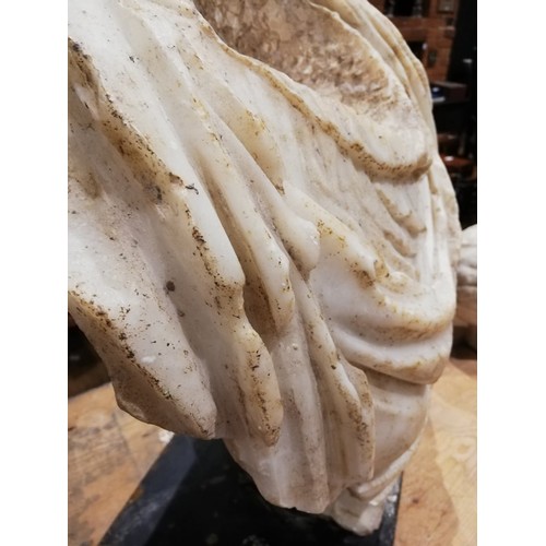 155 - A Roman marble bust with the folds of the tunic deeply carved, set on an integral  tapered socle, ci... 