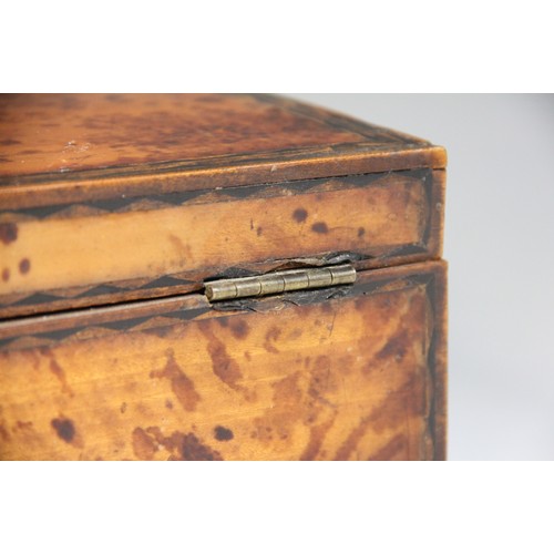 495 - A 19th century burr walnut tea caddy, of rectangular domed form, the hinged cover opening to a centr... 