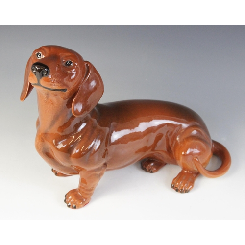 566 - A Beswick fireside dachshund, model No. 2286, in tan colourway, 17cm high