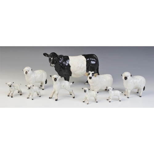 551 - A Beswick Belted Galloway Cow, model No. 4113A, with a Beswick Black Faced Ram, model No. 3071, two ... 