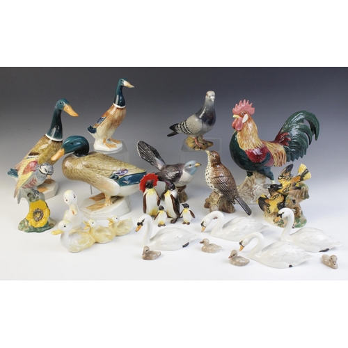 555 - A collection of Beswick birds, to include a Leghorn Cockerel, Model no. 1892, 24cm high, two swan fa... 