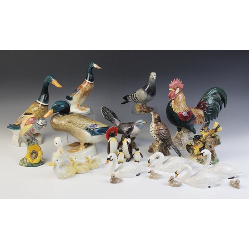 555 - A collection of Beswick birds, to include a Leghorn Cockerel, Model no. 1892, 24cm high, two swan fa... 